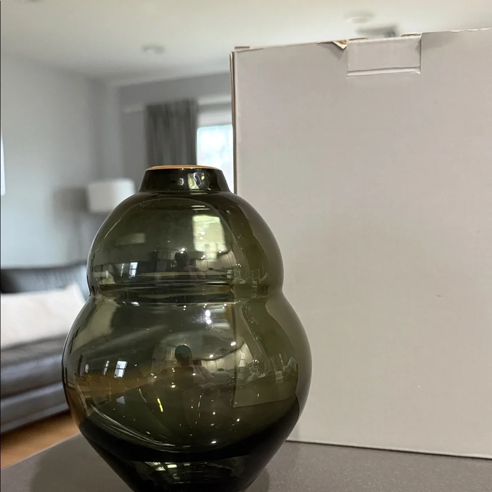 Sancia Gourd Glass Curved Decorative Vase with gold - Brand